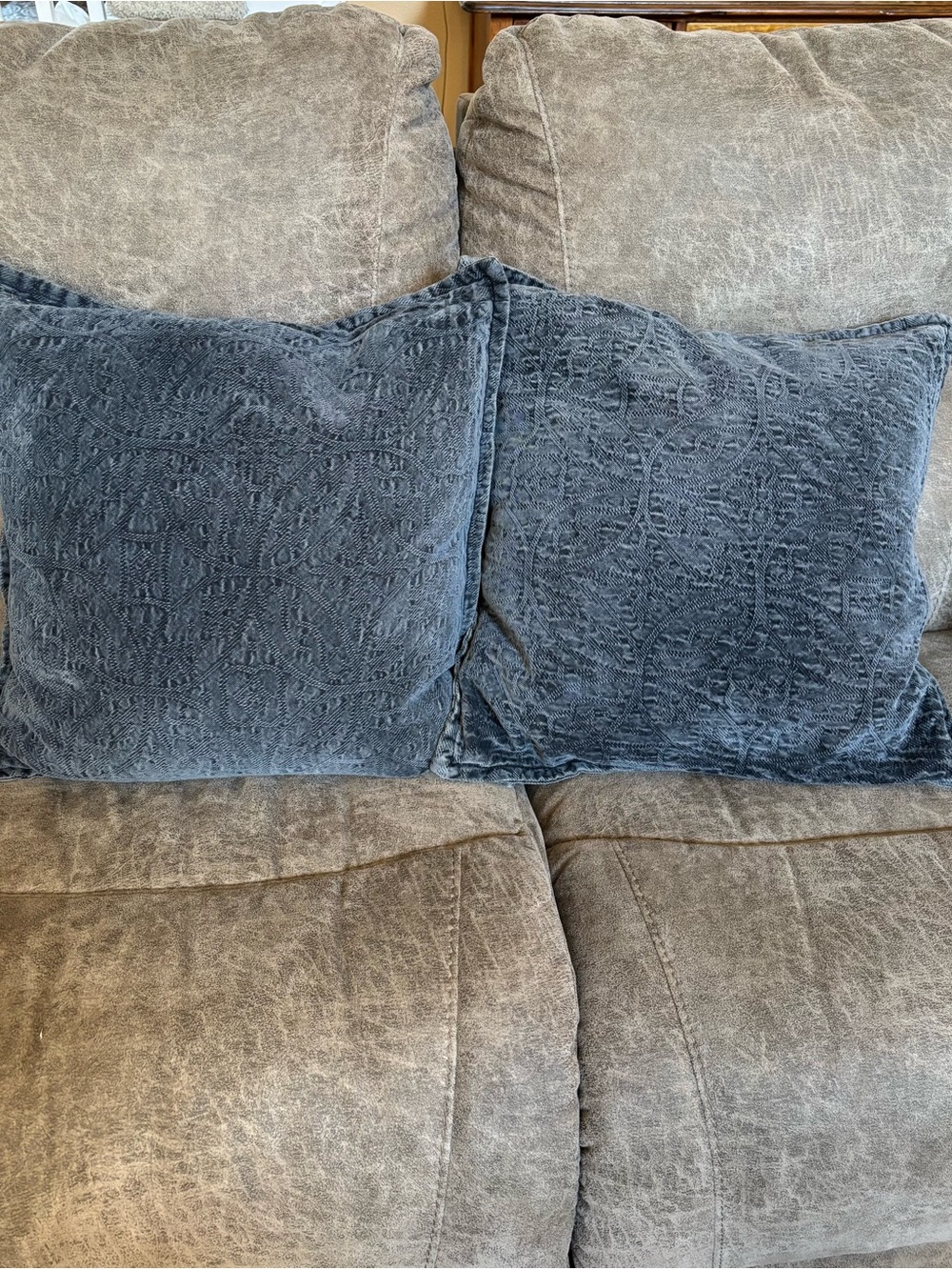 Pottery Barn Chenille Jaquard pillow cover and interior pillow